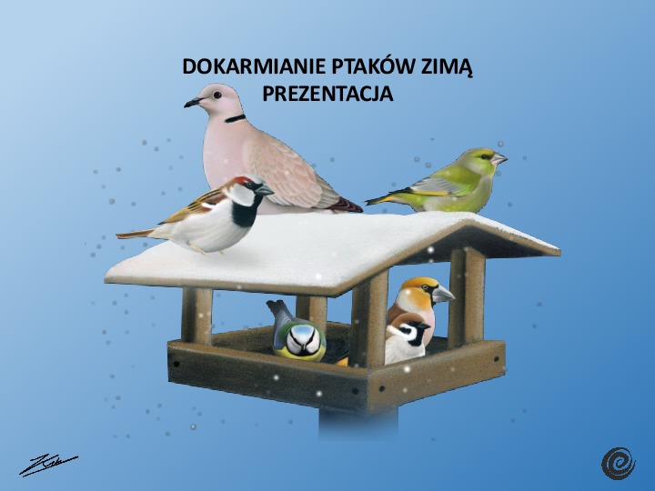 Okładka: Prezentacja ppt - dokarmianie ptaków